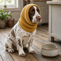 Long Ear Dog Snood, crochet pattern