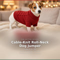 Cable-Knit Dog Jumper, knitting pattern